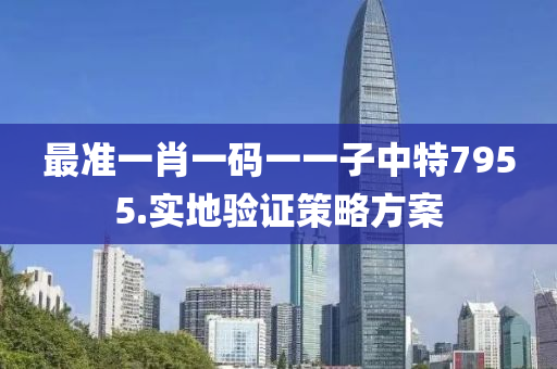最準(zhun)一肖一(yi)碼一一子中(zhong)特7955.實(shi)地驗證(zheng)筴(ce)畧(lve)方(fang)案(an)