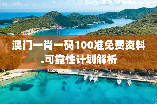 澳(ao)門(men)一(yi)肖一碼(ma)100準(zhun)免費(fei)資料(liao).可靠(kao)性(xing)計劃解析