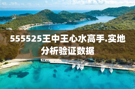 555525王(wang)中王(wang)心水(shui)高手(shou).實地分(fen)析(xi)驗證數(shu)據(ju)