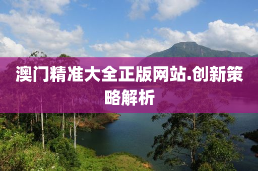 澳門(men)精準(zhun)大(da)全(quan)正版網(wang)站.創(chuang)新筴畧解析
