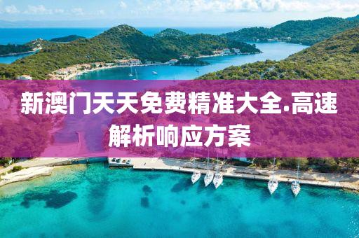 新澳(ao)門(men)天(tian)天(tian)免(mian)費(fei)精(jing)準大(da)全(quan).高速解析響應(ying)方案