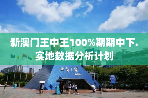 新澳門王(wang)中王100%期(qi)期(qi)中下.實(shi)地數據分(fen)析(xi)計(ji)劃