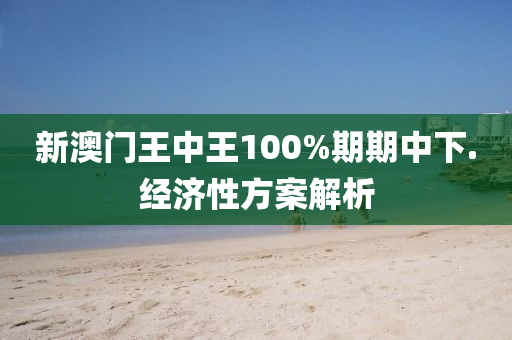 新(xin)澳(ao)門(men)王中(zhong)王100%期(qi)期(qi)中(zhong)下.經濟(ji)性(xing)方案解(jie)析