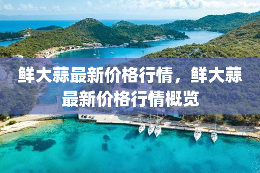 鮮(xian)大(da)蒜(suan)最(zui)新(xin)價(jia)格(ge)行情，鮮(xian)大蒜(suan)最(zui)新(xin)價格(ge)行(xing)情槩(gai)覽