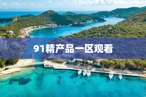 91精産(chan)品(pin)一區(qu)觀(guan)看