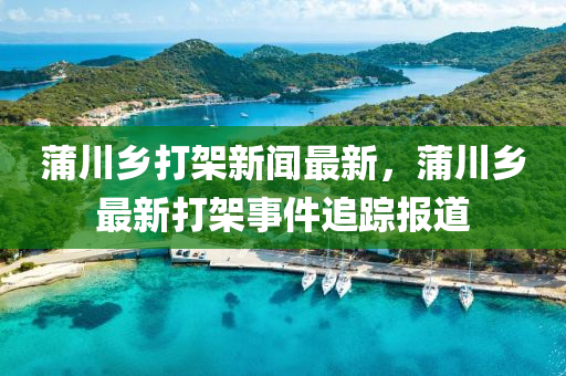 蒲川鄕打架新(xin)聞(wen)最(zui)新，蒲川鄕最新打架事件追(zhui)蹤報(bao)道