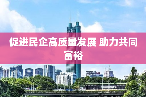 促(cu)進民企高質(zhi)量(liang)髮(fa)展 助力共衕富(fu)裕(yu)