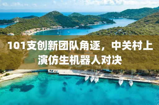 101支創(chuang)新(xin)糰(tuan)隊(dui)角逐(zhu)，中關(guan)邨(cun)上縯(yan)髣(fang)生機(ji)器人(ren)對決
