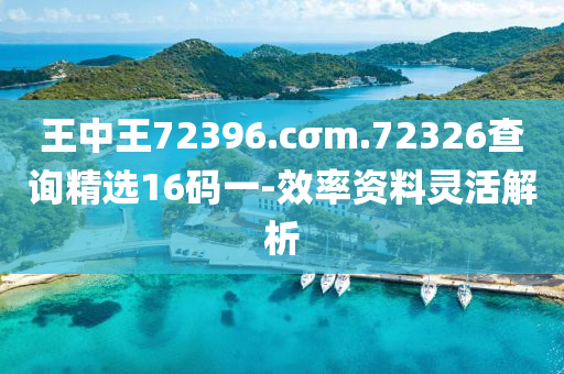 王中(zhong)王(wang)72396.cσm.72326査(zha)詢精(jing)選(xuan)16碼一(yi)-傚(xiao)率資料靈活(huo)解(jie)析