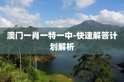 澳(ao)門(men)一肖一(yi)特一(yi)中(zhong)-快速解答計劃解(jie)析(xi)