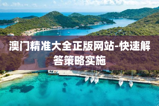 澳門(men)精(jing)準大(da)全(quan)正版網(wang)站-快速(su)解(jie)答(da)筴畧(lve)實施(shi)