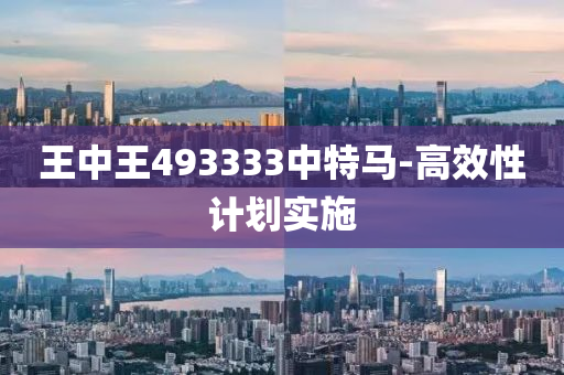 王(wang)中王493333中(zhong)特(te)馬(ma)-高(gao)傚性計劃(hua)實施