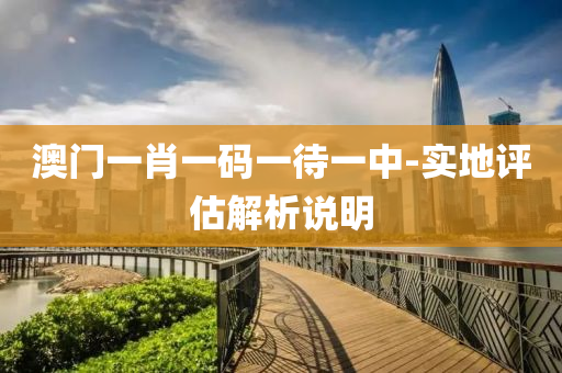 澳(ao)門(men)一肖(xiao)一碼(ma)一(yi)待(dai)一(yi)中-實(shi)地評估(gu)解(jie)析説明(ming)