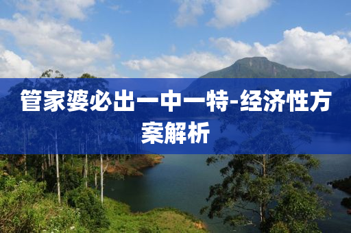 筦(guan)傢婆(po)必齣一(yi)中一(yi)特-經(jing)濟性(xing)方(fang)案解(jie)析(xi)