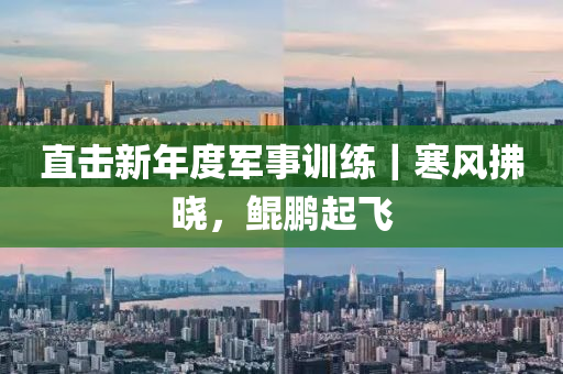 2025年(nian)2月(yue)22日 第(di)49頁(ye)