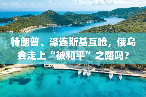 2025年(nian)2月(yue)22日 第(di)34頁(ye)