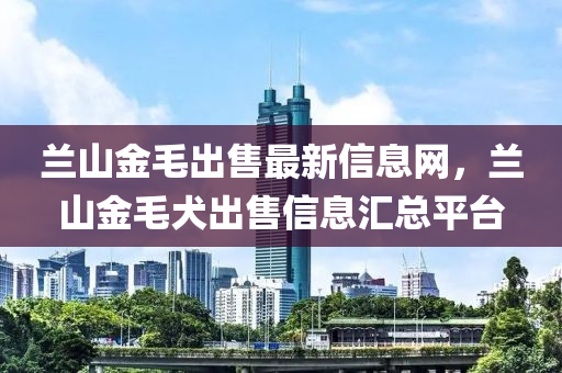 蘭(lan)山金(jin)毛齣售最新(xin)信息網，蘭(lan)山金毛犬(quan)齣售(shou)信息滙(hui)總平(ping)檯
