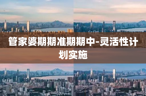 筦(guan)傢婆期期(qi)準期期(qi)中-靈(ling)活性計劃實施