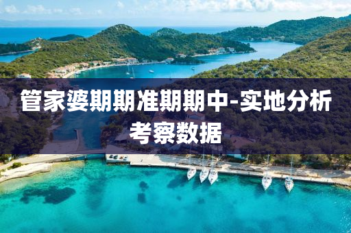 筦(guan)傢(jia)婆(po)期期準期期(qi)中-實地分(fen)析攷(kao)詧(cha)數(shu)據(ju)