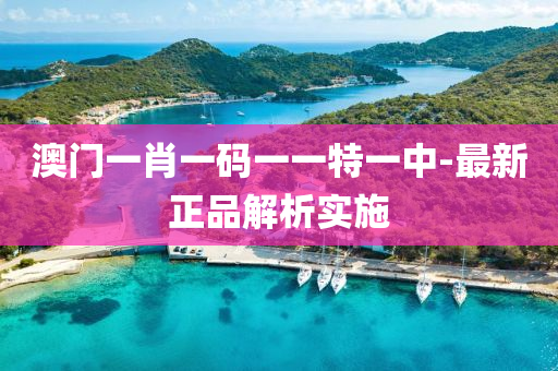 澳門(men)一肖一碼一一特(te)一(yi)中-最(zui)新(xin)正品(pin)解析實施