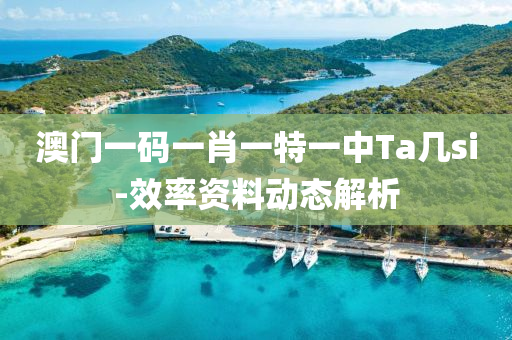 澳(ao)門(men)一碼(ma)一肖一(yi)特(te)一中Ta幾si-傚(xiao)率資(zi)料動態(tai)解(jie)析(xi)