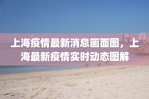上海(hai)疫(yi)情最新消息(xi)畫麵(mian)圖，上(shang)海最新(xin)疫情實(shi)時(shi)動(dong)態圖解(jie)