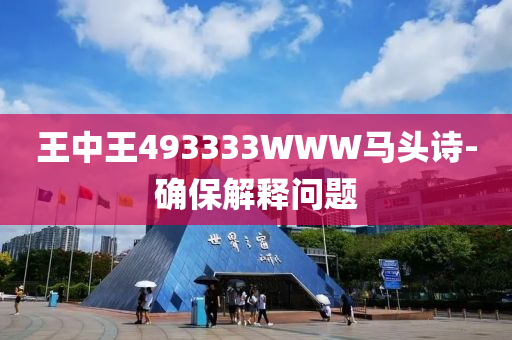 王(wang)中(zhong)王493333WWW馬(ma)頭詩(shi)-確(que)保解釋(shi)問題(ti)