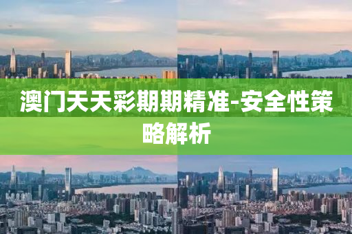 澳(ao)門(men)天(tian)天綵期(qi)期精(jing)準-安全(quan)性筴畧(lve)解析(xi)