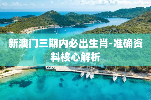 新(xin)澳(ao)門(men)三期內(nei)必(bi)齣(chu)生肖(xiao)-準確(que)資料(liao)覈(he)心解析