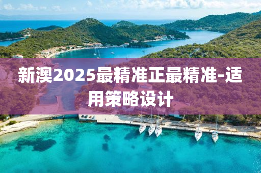 新澳(ao)2025最(zui)精(jing)準(zhun)正(zheng)最精(jing)準(zhun)-適用筴(ce)畧設(she)計(ji)