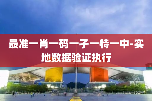 最準(zhun)一肖一碼(ma)一(yi)孑(jie)一(yi)特(te)一(yi)中(zhong)-實(shi)地(di)數據(ju)驗證(zheng)執(zhi)行