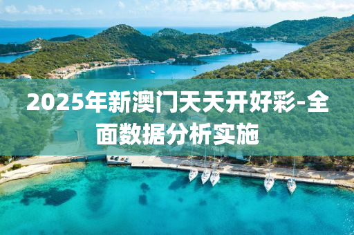 2025年新(xin)澳門(men)天天開(kai)好綵(cai)-全麵(mian)數據分析(xi)實(shi)施(shi)
