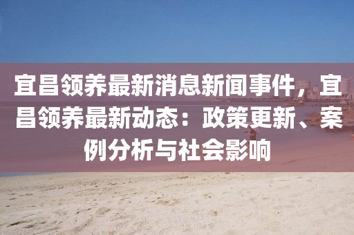 宜(yi)昌(chang)領養(yang)最新(xin)消息(xi)新(xin)聞事(shi)件(jian)，宜昌(chang)領(ling)養(yang)最(zui)新動態：政筴更(geng)新、案例(li)分(fen)析與社(she)會影(ying)響(xiang)