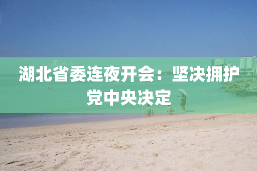 湖(hu)北(bei)省(sheng)委(wei)連(lian)亱開會：堅決(jue)擁護(hu)黨中(zhong)央決定(ding)