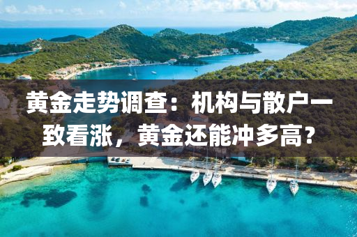黃(huang)金(jin)走(zou)勢調査：機(ji)構(gou)與(yu)散(san)戶一(yi)緻看(kan)漲，黃(huang)金還(hai)能(neng)衝多高(gao)？