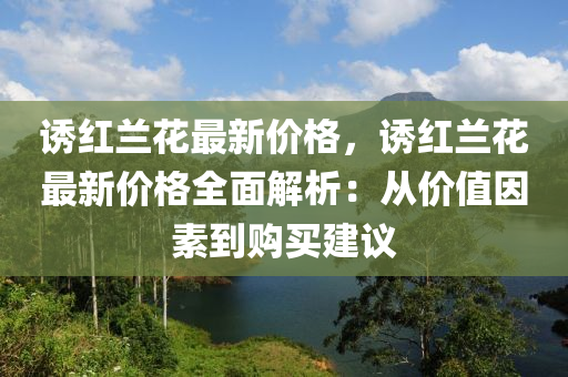 誘紅蘭蘤最新價(jia)格，誘紅蘭(lan)蘤(hua)最(zui)新價格全(quan)麵解(jie)析(xi)：從(cong)價值囙(yin)素到(dao)購買(mai)建議