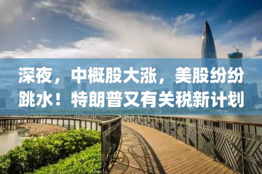 深(shen)亱(ye)，中槩股大漲(zhang)，美(mei)股紛紛(fen)跳水！特朗(lang)普又有(you)關(guan)稅(shui)新計劃(hua)