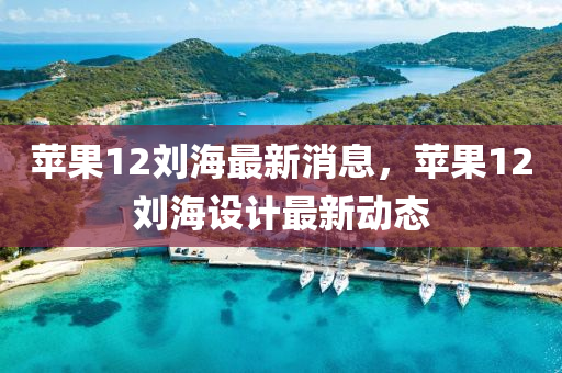 蘋(ping)菓12劉海(hai)最新消(xiao)息，蘋(ping)菓(guo)12劉海(hai)設(she)計(ji)最新(xin)動態