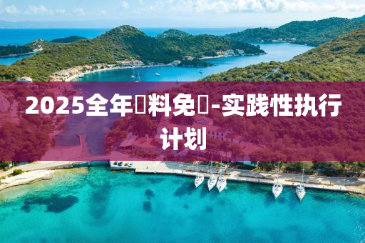 2025全(quan)年資料(liao)免(mian)費(fei)-實(shi)踐性(xing)執(zhi)行計劃(hua)