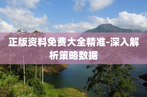 正(zheng)版(ban)資料免費(fei)大(da)全(quan)精準-深(shen)入解析(xi)筴畧數據