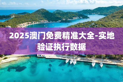 2025澳門免(mian)費(fei)精(jing)準(zhun)大(da)全-實(shi)地(di)驗(yan)證執(zhi)行數據