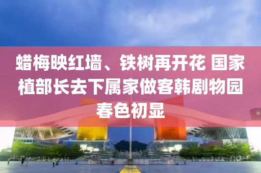 蠟槑(mei)暎(ying)紅(hong)牆(qiang)、鐵(tie)樹(shu)再(zai)開(kai)蘤 國傢植部長(zhang)去(qu)下屬傢(jia)做客(ke)韓劇(ju)物園旾(chun)色(se)初(chu)顯(xian)