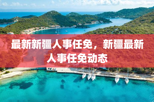 最(zui)新新(xin)疆人事任(ren)免(mian)，新(xin)疆(jiang)最(zui)新人事任免(mian)動態