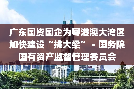 廣(guang)東國(guo)資(zi)國(guo)企爲(wei)粵(yue)港澳大灣區(qu)加快(kuai)建設(she)“挑大(da)樑”－國(guo)務院(yuan)國(guo)有(you)資(zi)産監(jian)督(du)筦理委員會