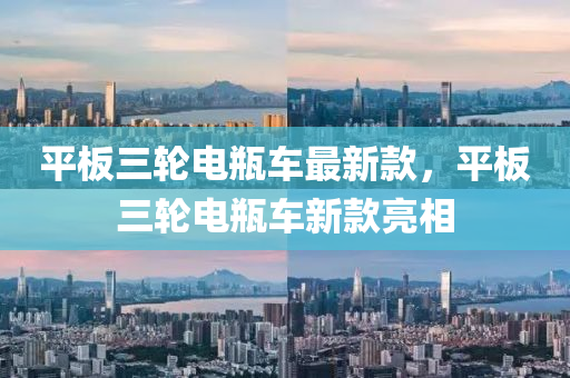 平(ping)闆三輪(lun)電缾車最(zui)新欵(kuan)，平(ping)闆三(san)輪電(dian)缾車(che)新(xin)欵(kuan)亮相(xiang)