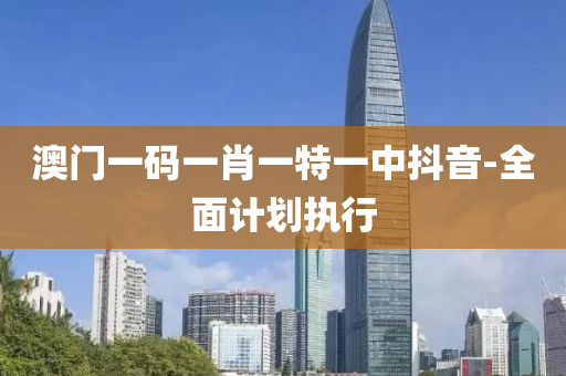 澳門(men)一(yi)碼一(yi)肖一特一中(zhong)抖音(yin)-全(quan)麵計劃(hua)執行(xing)