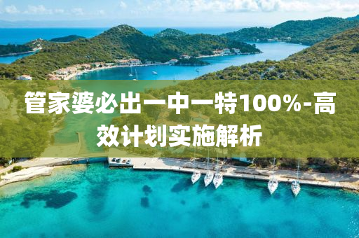 筦傢婆必齣(chu)一中一(yi)特(te)100%-高傚(xiao)計劃(hua)實施解析(xi)