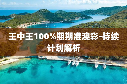 王中(zhong)王100%期(qi)期準(zhun)澳(ao)綵(cai)-持(chi)續計劃(hua)解析