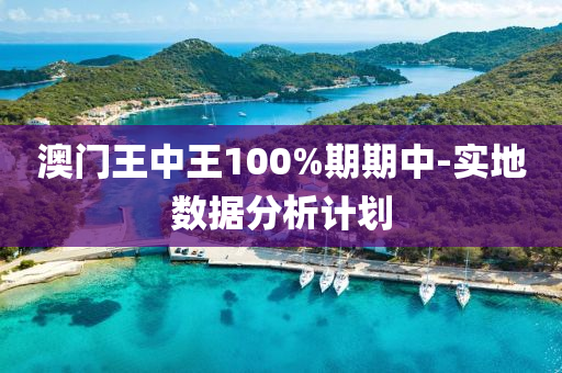 澳門王(wang)中(zhong)王100%期(qi)期中-實(shi)地(di)數(shu)據分(fen)析計劃(hua)