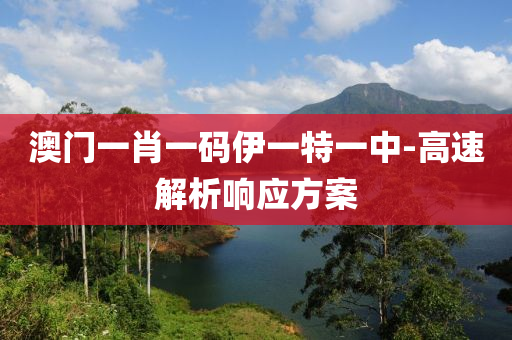 澳(ao)門(men)一肖一(yi)碼(ma)伊一特一中-高(gao)速(su)解析響(xiang)應方(fang)案(an)